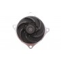 Помпа води Ford Focus I/Mondeo II/Transit/Tourneo Connect 1.6/1.8/2.0 16V 02-13 (R/B) (6 лоп.)
