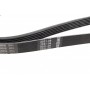 Ремінь генератора Ford Connect 1.8TDCI (6PK1413)