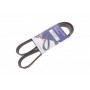 Ремінь генератора Fiat Ducato/Citroen Jumper 1.9D/TD 94-/Renault Trafic 2.5dCI 03- (6PK1153)