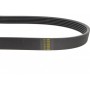 Ремінь генератора BMW 1 (F20/F21)/3 (F30/F80) 1.6i 11-/Honda Civic VII/FR-V 1.7i 01- (6PK986)
