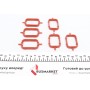 Прокладка колектора впускного BMW/Opel 2.5/3.0D M57 (к-кт)