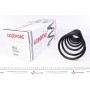 Пружина (передня) Nissan Primera 1.6 16V/1.8 16V/2.0 16V 96-02 (седан/універсал/нах.зад.частина)