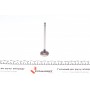 Клапан (впуск) Citroen C5/Peugeot 406/407 1.8 16V 00- (29.8x6x106)