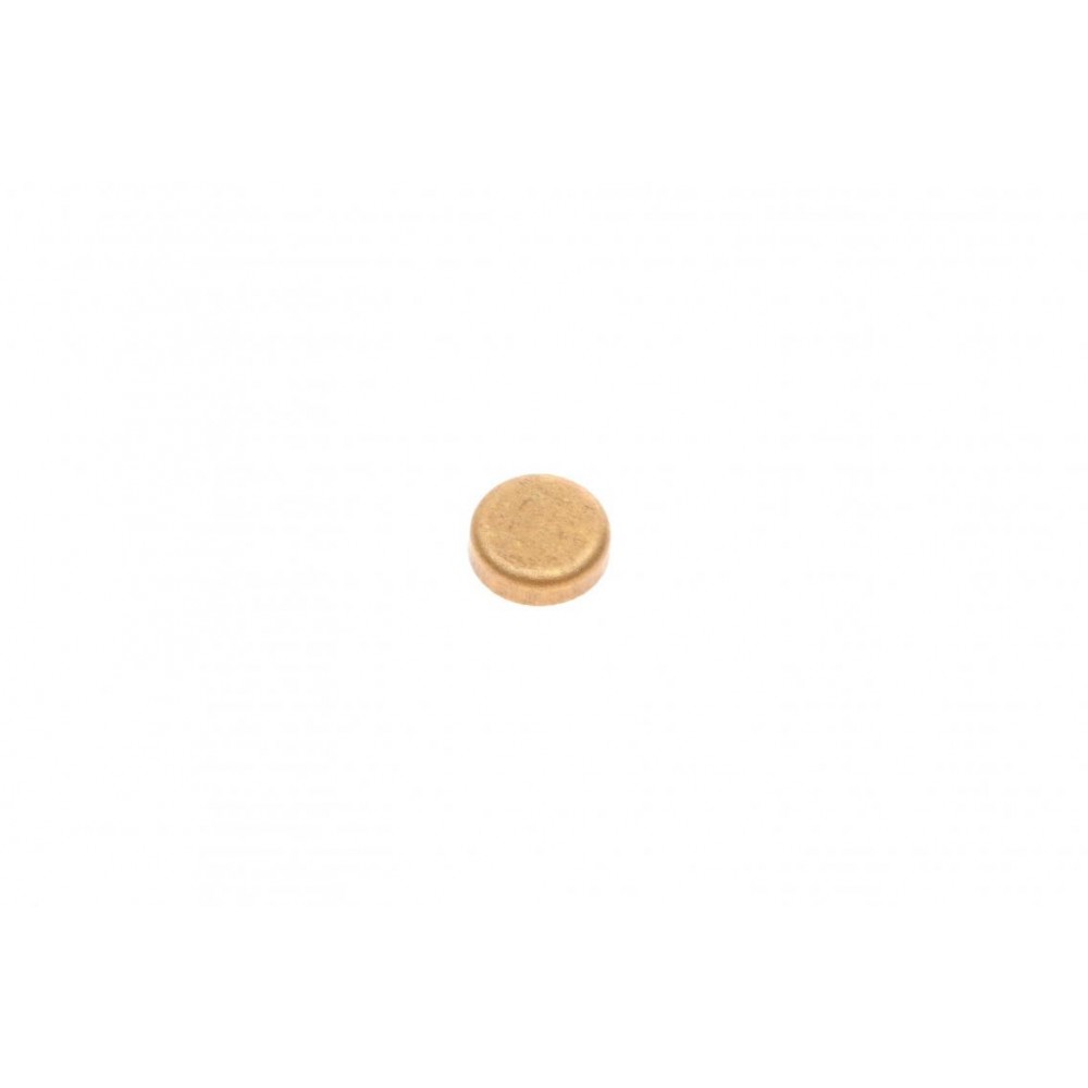 Заглушка блоку циліндрів (d=19,5mm) Латунь/Brass (знято з постачання)