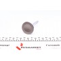 Клапан (впуск) Opel Astra F/G/Vectra B 1.6 92-03 (38x7x101.1) (вальцювання)