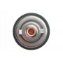Термостат Mitsubishi Outlander 2.2 DI-D 06-12/Ford Fiesta 1.4 TDCi 01-08/Kia Sorento 2.5 CRDi 06-11 (82°C)