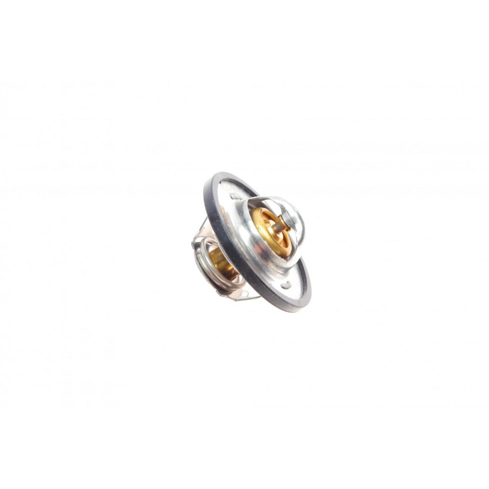 Термостат Citroen Jumper 2.0 94-02/Peugeot Partner 1.1-1.4 96-15/Renault Kangoo 1.9 TDI 00- (89 °C)