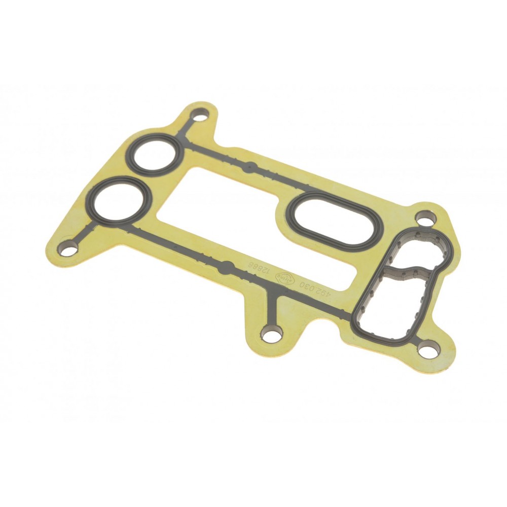 Прокладка фільтра масляного BMW 1 (E87)/3 (E90)/5 (E60)/X1/X3 2.0D 03-15 N47