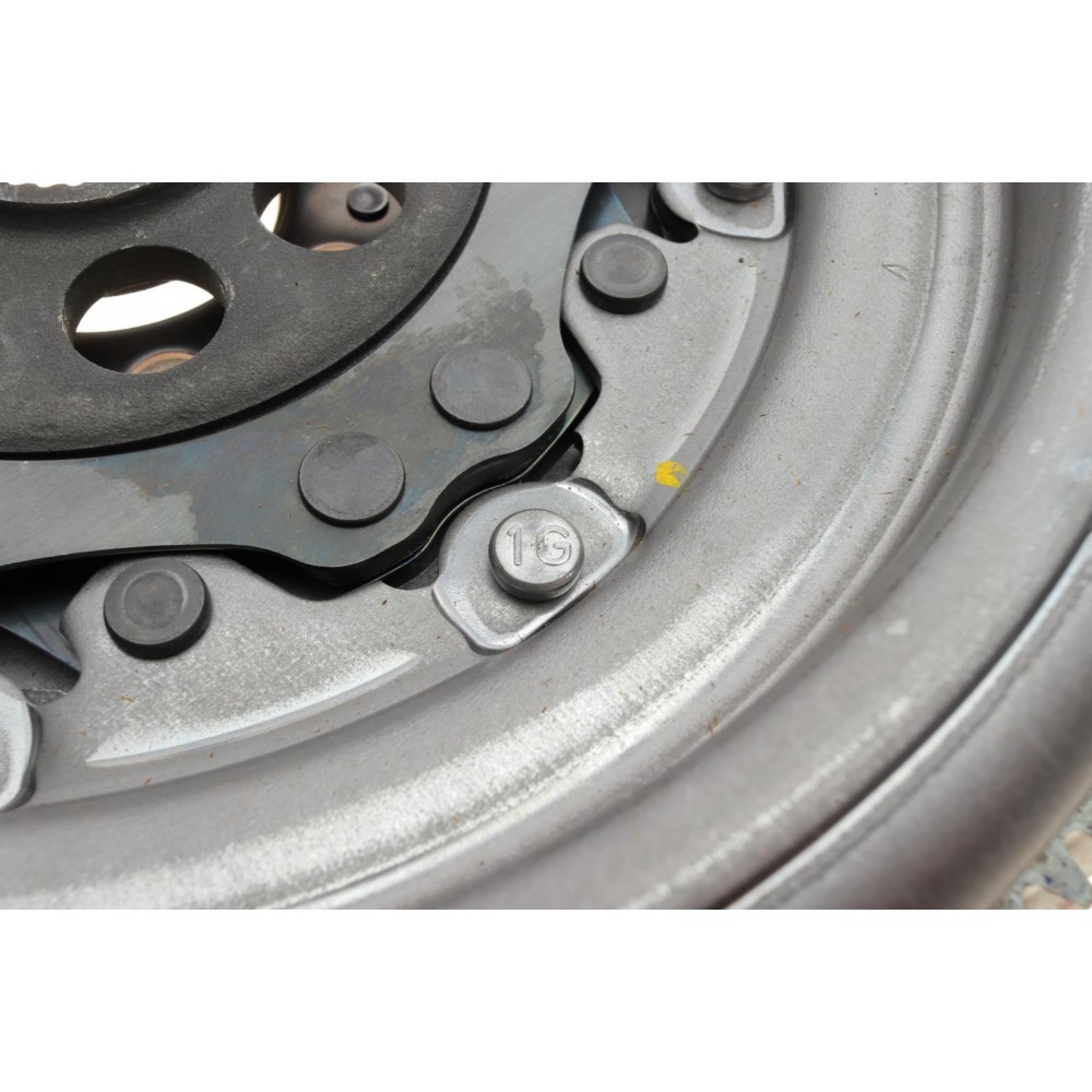 Демпфер зчеплення Audi A3/VW Golf VII/Sharan 2.0 TSI/GTI 12-, DSG6-02E/0D9 (DQ250)