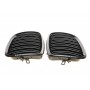 Решітка радіатора BMW X5 (E70)/X6 (E71) 06-14 (к-кт)