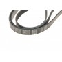 Ремінь генератора MB W202/211 2.2/2.7CDI (6PK2238)