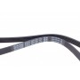Ремінь генератора Mitsubishi Carisma 1.8 95-06/ Galant VI 2.0/2.4 GDI 96-04