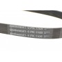 Ремінь генератора Nissan Tiida 1.8 07-12/Fiat Ducato 2.0 94-02 /Renault Espace 3.5 V6 02-
