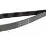Ремінь генератора VW Passat B5/Audi A4/A6 1.6/1.8 95-