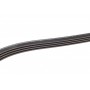 Ремінь генератора Renault Clio/Kangoo 1.4i/1.6 98-03 (4PK1238)