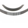 Ремінь генератора Audi A4/A6/A8 2.4/2.6/2.8 95-