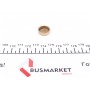 Заглушка блоку циліндрів (d=17,4mm) Латунь/Brass