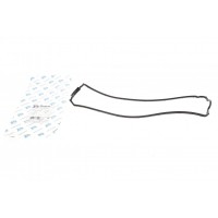 Прокладка кришки клапанів Ford Connect 1.8TDCi 02-