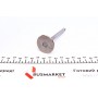 Клапан (впуск) VW Caddy/T3 1.6D/1.7D 81-92 (34x8x104.8) (азотований)