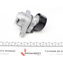 Комплект ременя генератора Renault Megane/Scenic 00-09, (5PK1750)