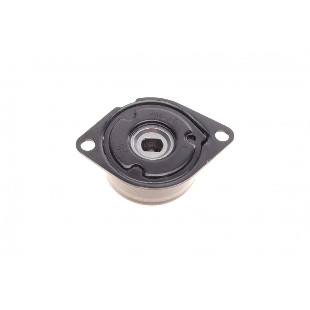 Комплект ременя генератора VW Caddy II 1.6 95-97 (6PK 975)