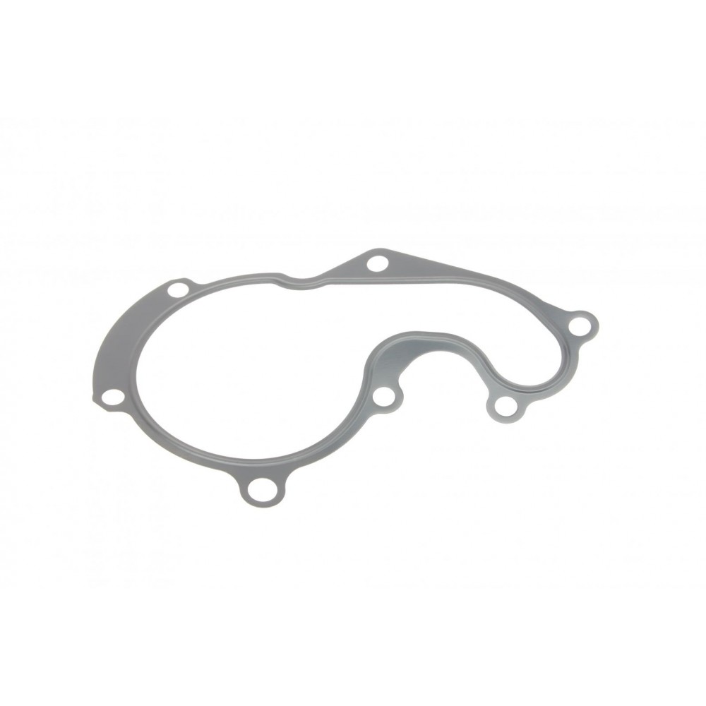 Прокладка помпи води Ford Connect 1.8TDCi 02-