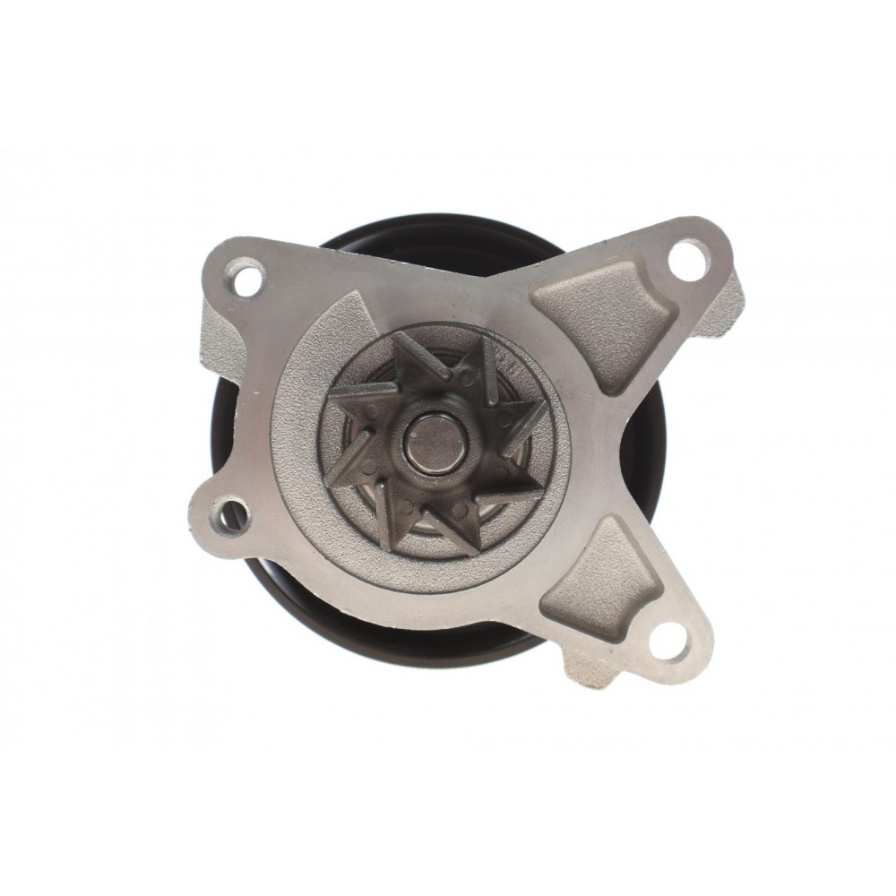 Помпа води Renault Clio/Laguna III/Megane III/Scenic III 2.0 06-, M4R 711/713/710