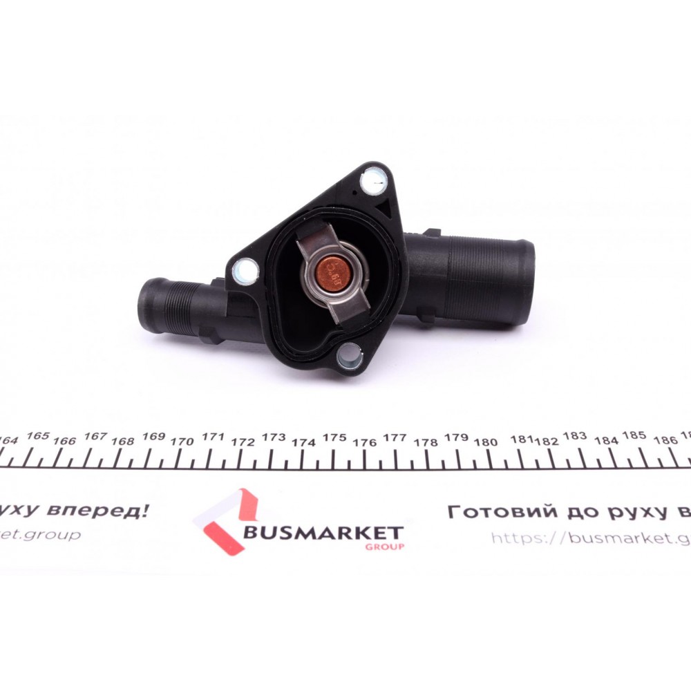 Термостат Renault Kangoo 1.2 16V 97- (TE0110)