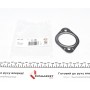 Прокладка труби вихлопної Audi A1/A3/VW Touran/Passat/Skoda Octavia 1.2-1.6 03-
