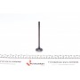 Клапан (впуск) Honda Civic IV/V/CRX II/Accord 2.0 16V/1.6 16V (29x5.5x115) (азотований)