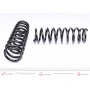 Комплект пружин (Pro-Kit) BMW 5 (E39) 95-03 (4 шт.)