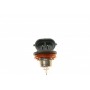 Автолампа H8 12V 35W PGJ19-1 Eco WS