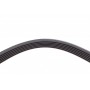 Ремінь генератора Ford Transit Connect 02-13/Focus 99-05/Toyota Avensis 03-12/Corolla 01-07/Renault