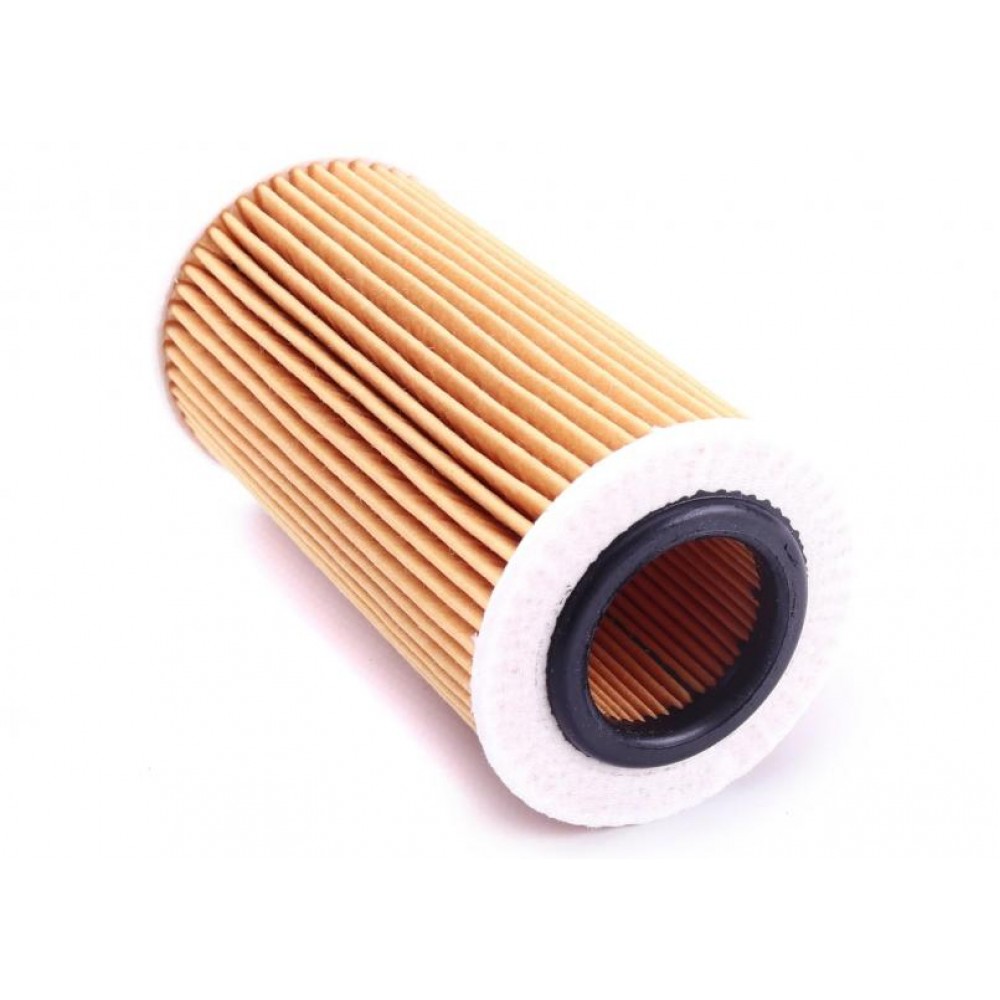 Фільтр масляний Volvo C30/C70/S40/S60/S80 10-