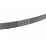 Ремінь генератора Citroen Jumper/Peugeot Boxer 2.5D/TDI 94-02 AC /2.5D -95