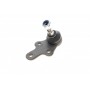 Опора кульова (передня/знизу) Ford Focus II 04-12/C-Max 07-10/Volvo C30/C70/S40/V50 04-13