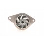 Комплект ГРМ + помпа VW Caddy II/Golf III 1.4 91-97 (19x135z)