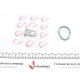 Прокладка колектора впускного Opel Vivaro/Renault Trafic 2.0 16V 01-