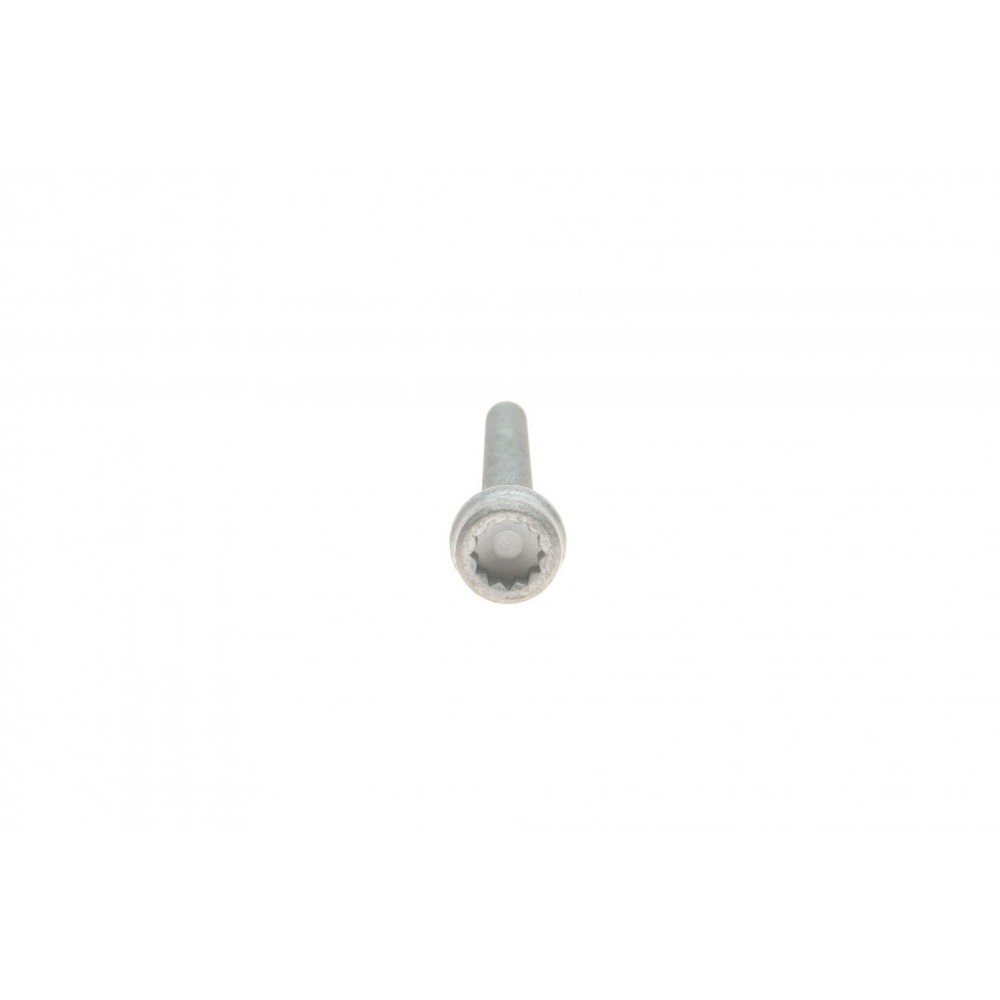 Болт кріплення насосу ГПК Audi A8 10-17/VW T5/T6 03- (M8x75)