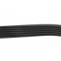 Ремінь генератора Fiat Scudo 1.9D 98-06 (6PK864)