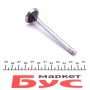 Клапан (випуск) Fiat Punto 1.6i/Tipo 1.4i 87-97 (31x8x109)