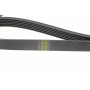 Ремінь генератора VW Caddy III/Fiat Scudo 1.4/1.4TSI 03-