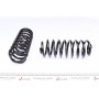 Комплект пружин (Pro-Kit) Seat Leon 99-06 (4 шт.)