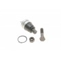 Опора кульова (передня/знизу) Chrysler Neon 99-06/PT Cruiser 00-10/Dodge Neon 99-
