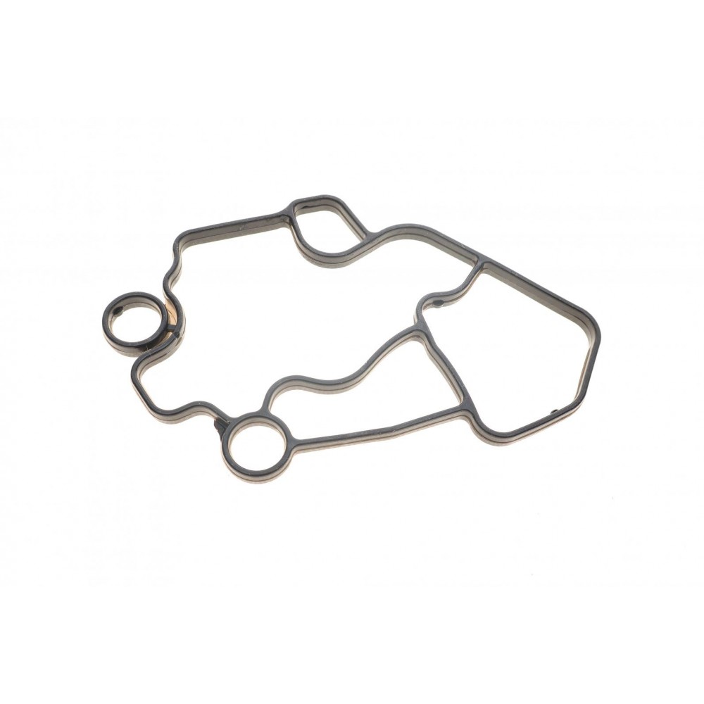 Прокладка корпуса фільтра масляного Audi A4/A6 2.0TFSI/VW Golf V 2.0 06-