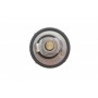 Термостат Ford Fusion/Fiesta/Focus 1.2-1.6 95- (82˚C)