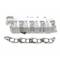 Колектор впускний Opel Astra H/Vectra C 1.9CDTI 04-10 (з прокладкою)