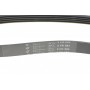 Ремінь генератора Toyota Rav 4 2.0 D 4WD 01-05