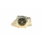 Помпа води Citroen Berlingo/Xsara/Peugeot Partner/306/309/405/406 1.6/1.8/1.9 87-02(20z)(B/B)(6 лоп)