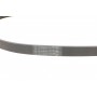 Ремінь генератора Citroen C4/C5 14-/Renault Kangoo/Clio 1.9D 97-/VW Passat B3/B4 88-97/Sharan 95-10